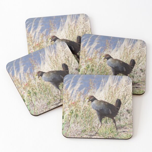 Item preview, Turbo Chook Warning Cry, Launceston Tasmania designed and sold by Jane McDougall.