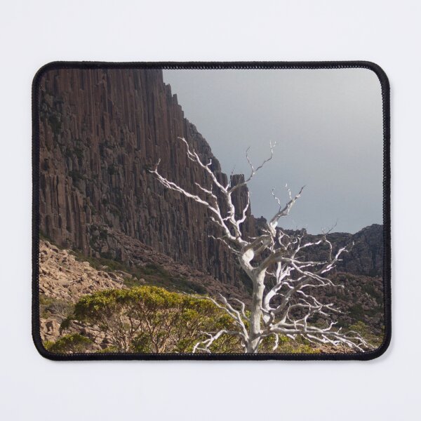 Item preview, White Tree Organ Pipe Rocks Ben Lomond Tasmania designed and sold by Jane McDougall.