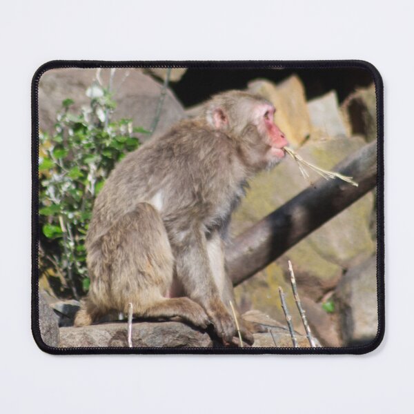 Item preview, Snow monkey straw chewing cowboy designed and sold by Jane McDougall.
