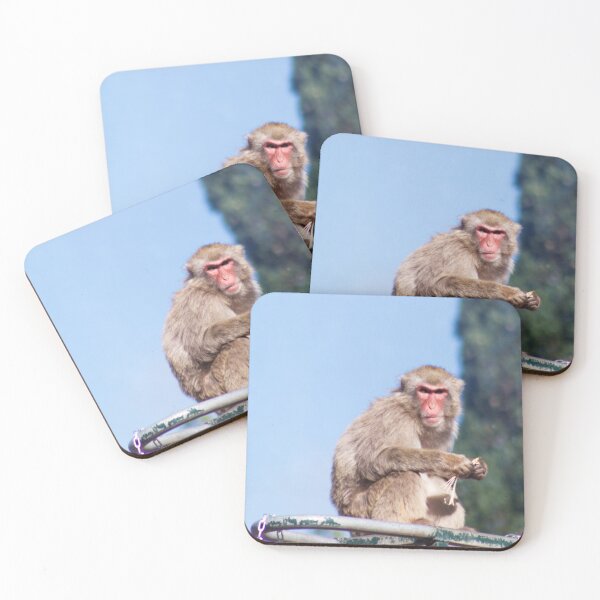Item preview, Monkey Bars designed and sold by Jane McDougall.
