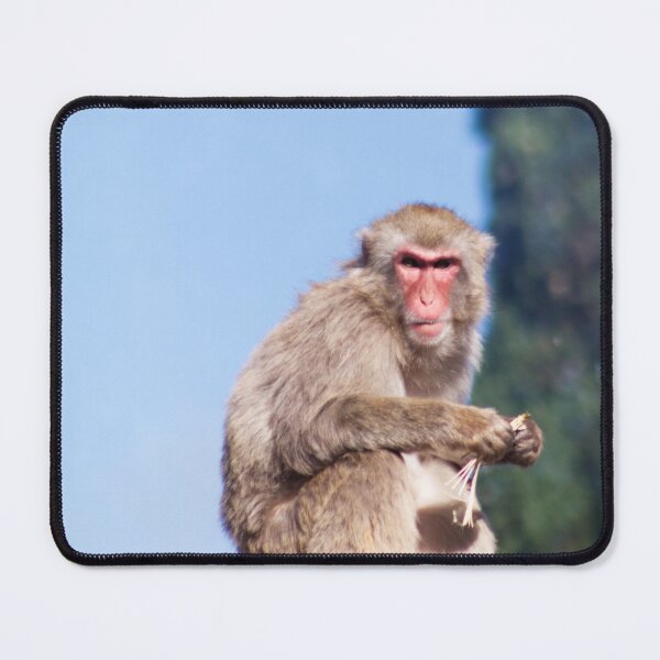 Item preview, Monkey Bars designed and sold by Jane McDougall.
