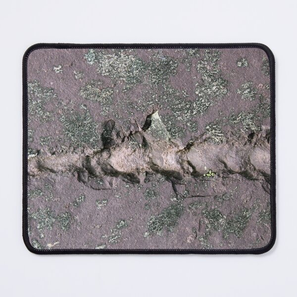Item preview, lichen designed and sold by KathleenDawson.