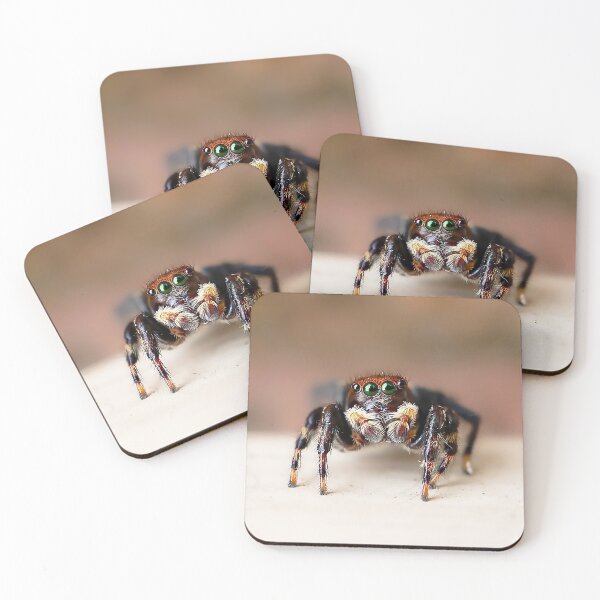 Item preview, Hello from Hubert! – Fuzzy Jumping Spider Macro designed and sold by Cornishinoz.
