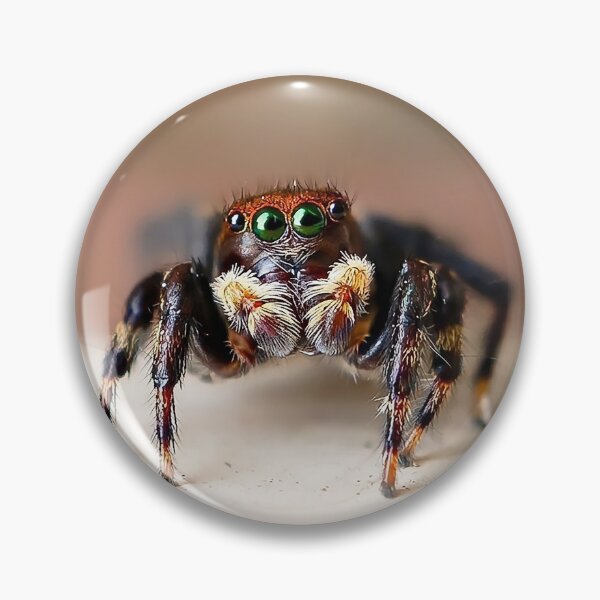 Item preview, Hello from Hubert! – Fuzzy Jumping Spider Macro designed and sold by Cornishinoz.