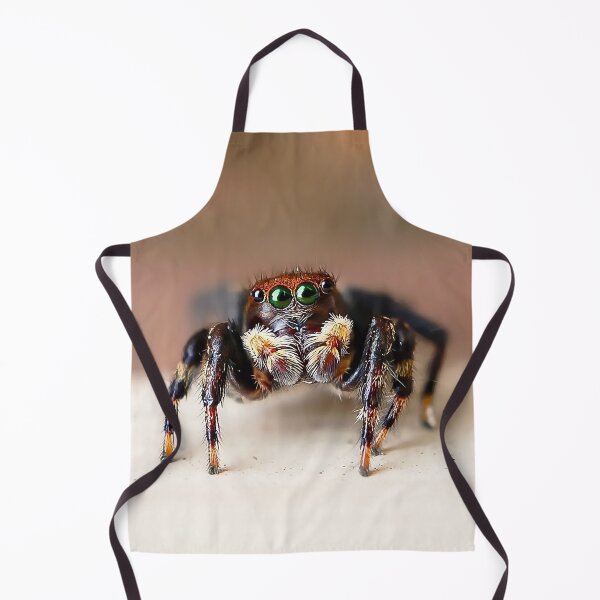 Item preview, Hello from Hubert! – Fuzzy Jumping Spider Macro designed and sold by Cornishinoz.