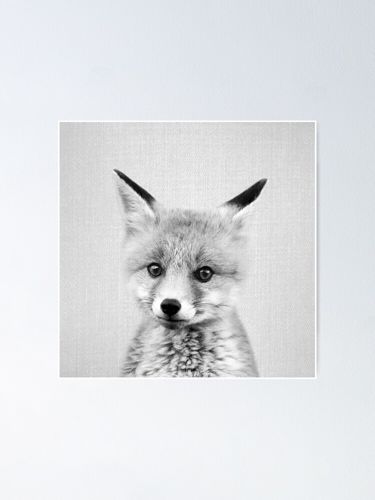 Poster Bebe Renard Noir Blanc Par Galdesign Redbubble