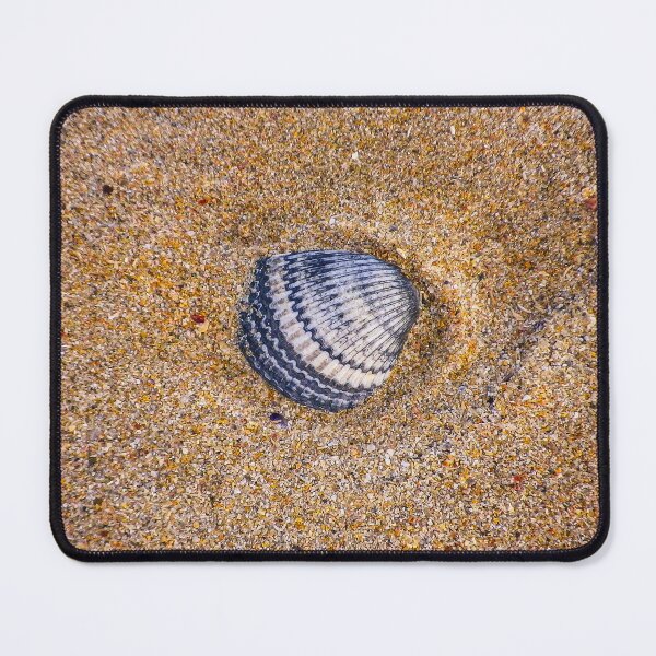 Item preview, Indigo Cockle Shell On Sandy Cornish Beach designed and sold by Richard Brookes Photography.