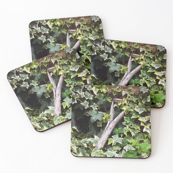 Item preview, The Gardener's Secret designed and sold by Murph's Images.