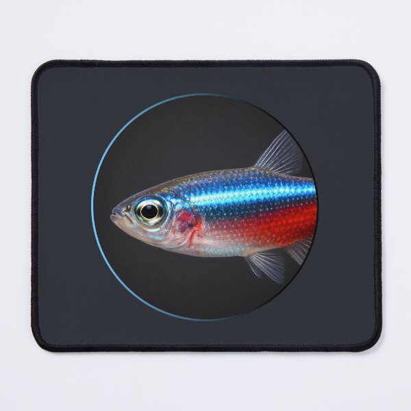 Item preview, Neon tetra. designed and sold by moths-minor.