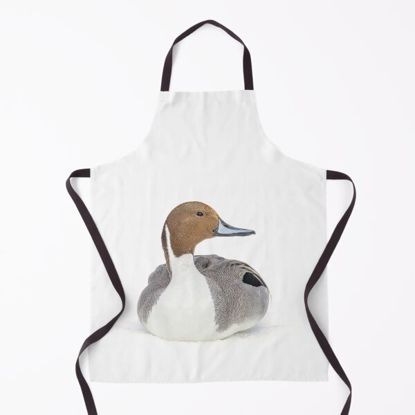 Item preview, Northern Pintail designed and sold by James Cumming.