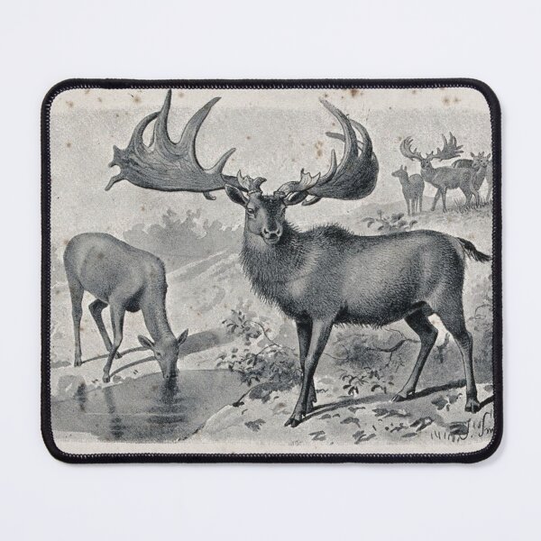 Item preview, Irish Elk, Megaloceros Giganteus, Vintage Animal Art designed and sold by CulturalCurios.