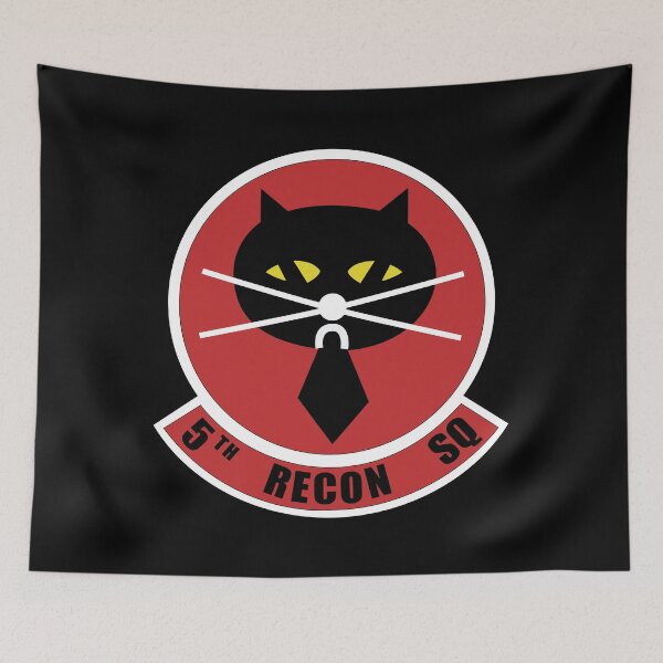 Item preview, AAC - 5th Reconnaissance Squadron wo txt X 300 designed and sold by Military Insignia Products.