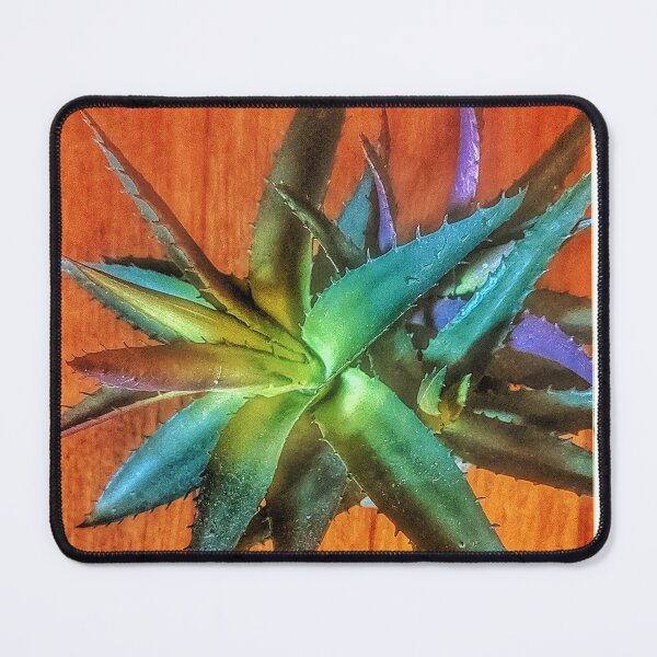 Item preview, Succulent plant designed and sold by Vivyn.