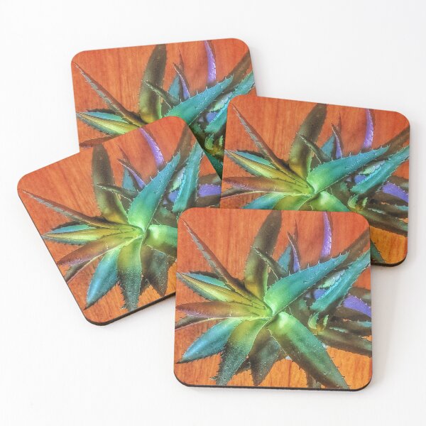 Item preview, Succulent plant designed and sold by Vivyn.
