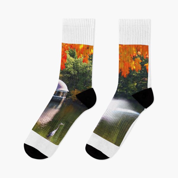 Item preview, Autumn Pond Featuring a Blue Heron designed and sold by BostonArcImage.