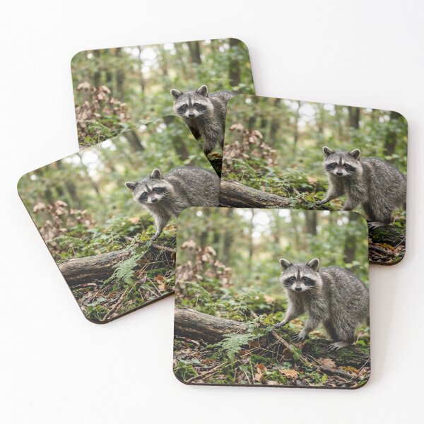 Item preview, A raccoon designed and sold by Zalan27.