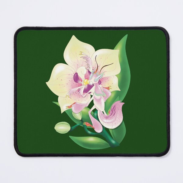 Item preview, Orchid Mantis climbing an orchid designed and sold by ChaosInAB0x.