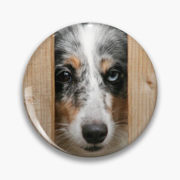 Item preview, Curious Dog Peeking Through Wooden Fence designed and sold by katifinell.