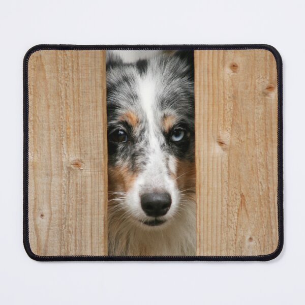 Item preview, Curious Dog Peeking Through Wooden Fence designed and sold by katifinell.