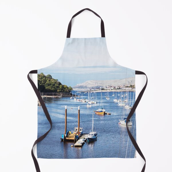 Item preview, Sailboats at Conwy Marina in North Wales designed and sold by Paul Thompson Photography.