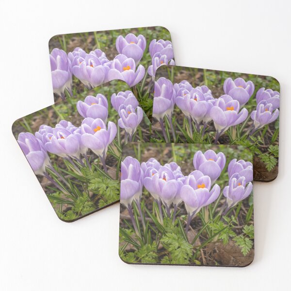 Item preview, Wild crocus flowers designed and sold by yackers1.