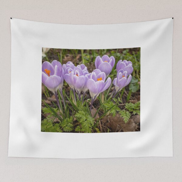 Item preview, Wild crocus flowers designed and sold by yackers1.