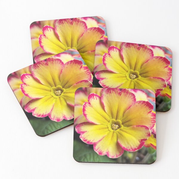 Item preview, Beautiful Pink Yellow Blooming Flower From The Home Garden Digital Photography designed and sold by vtspatial.