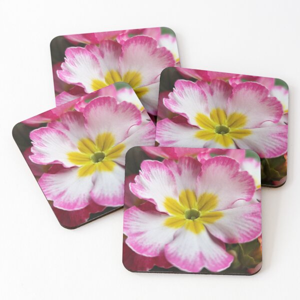 Item preview, Beautiful Pink Blooming Flower From The Home Garden Digital Photography designed and sold by vtspatial.