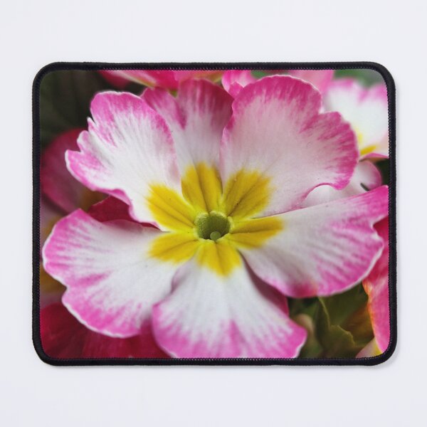 Item preview, Beautiful Pink Blooming Flower From The Home Garden Digital Photography designed and sold by vtspatial.