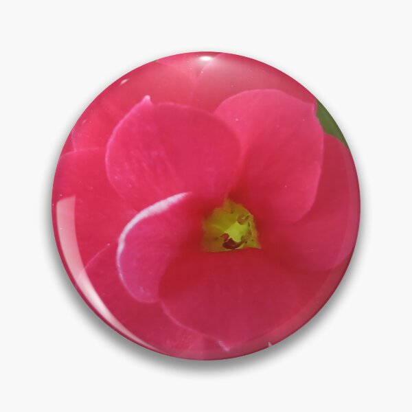 Item preview, Kalanchoe blossfeldiana designed and sold by André Ramos Ielo.
