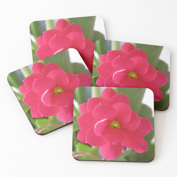 Item preview, Kalanchoe blossfeldiana designed and sold by André Ramos Ielo.