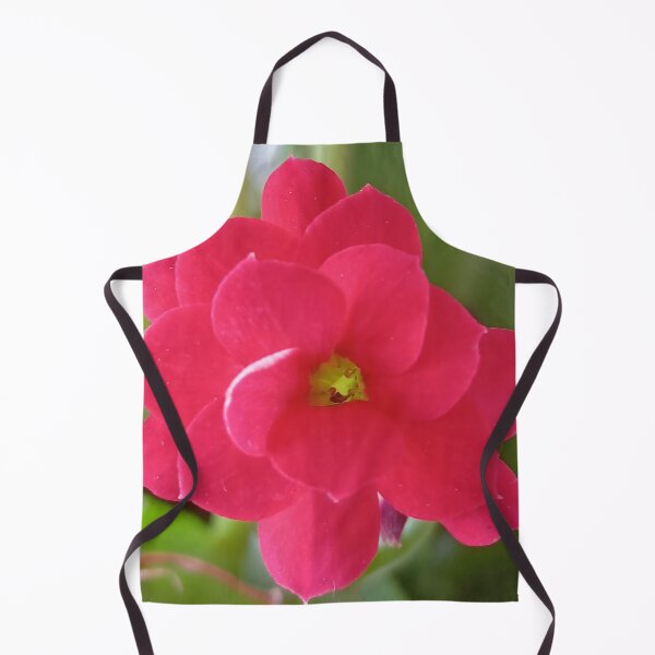 Item preview, Kalanchoe blossfeldiana designed and sold by André Ramos Ielo.
