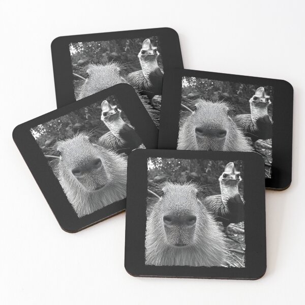 Item preview, Capybara Selfie With A Cassowary designed and sold by Cheesymatiion.