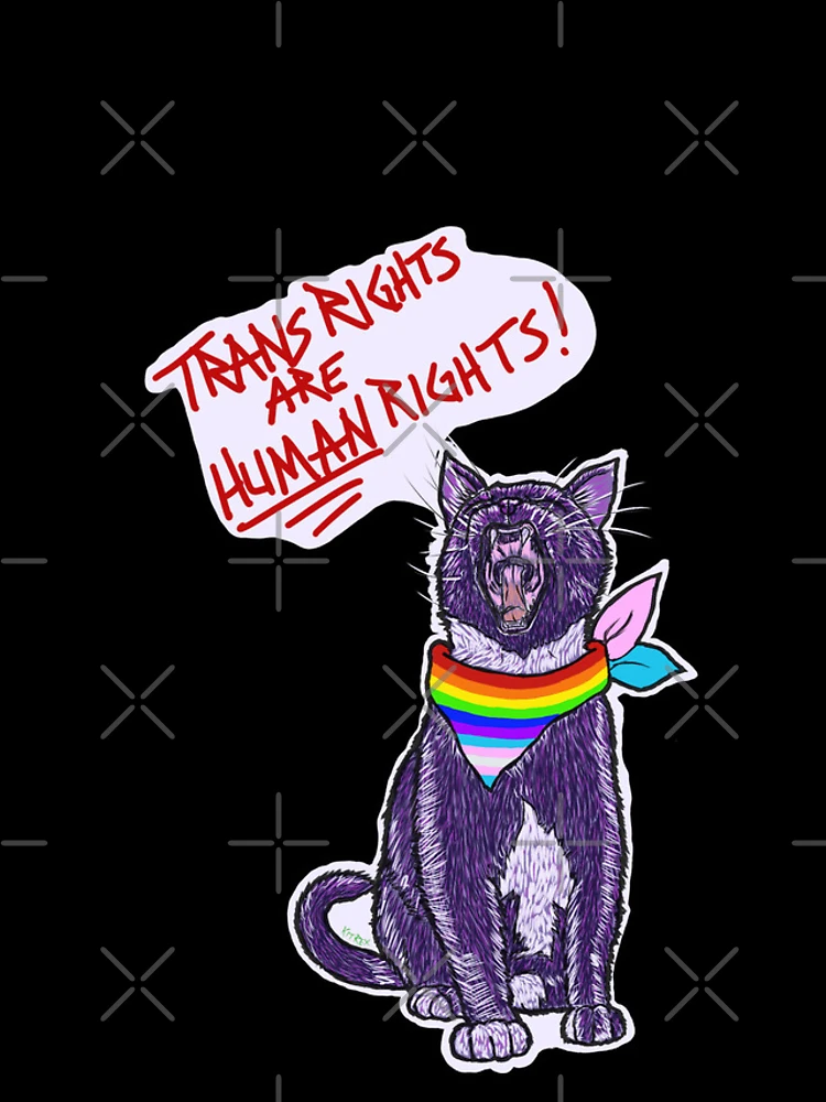 Thumbnail 4 of 4, iPhone Case, Trans Rights Are Human Rights! designed and sold by Kit Rex.