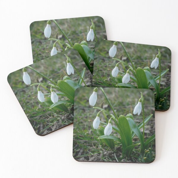 Item preview, Snowdrop Flower Close-Up – First Sign of Spring Nature Photography designed and sold by eGreenHat.