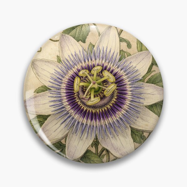 Item preview, Vintage Passion Flower Botanical Illustration - Passiflora Antique Print designed and sold by Darlin8888.