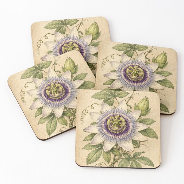 Item preview, Vintage Passion Flower Botanical Illustration - Passiflora Antique Print designed and sold by Darlin8888.