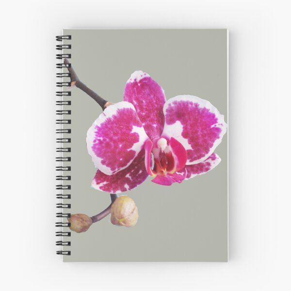 Item preview, Midnight Orchid Blossom Macro  designed and sold by JurateArt-DK.