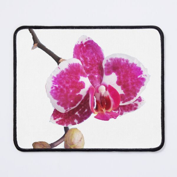 Item preview, Midnight Orchid Blossom Macro  designed and sold by JurateArt-DK.