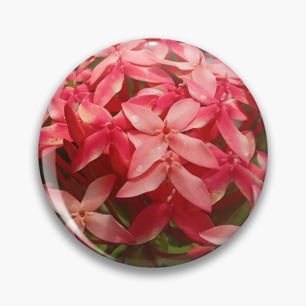 Item preview, Ixora coccinea designed and sold by André Ramos Ielo.