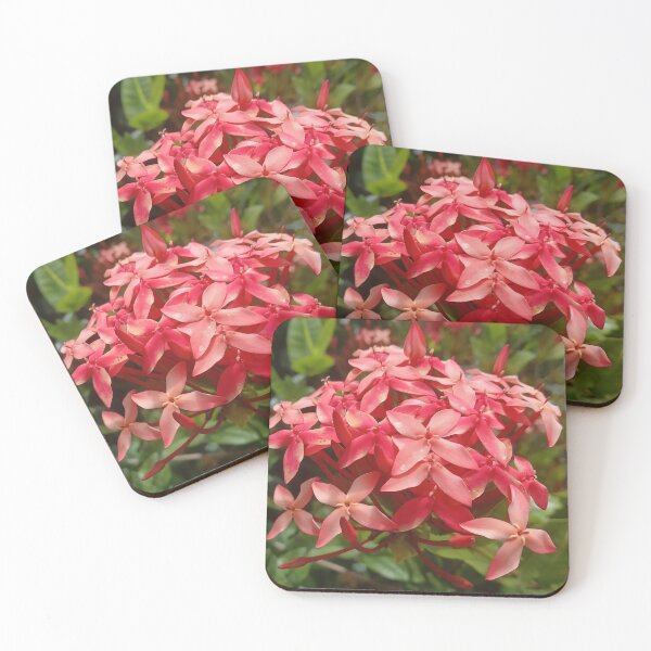 Item preview, Ixora coccinea designed and sold by André Ramos Ielo.