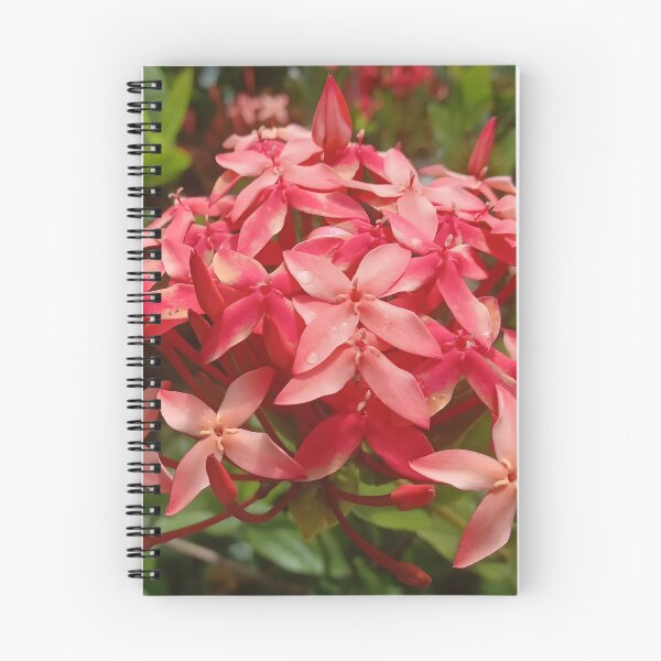 Item preview, Ixora coccinea designed and sold by André Ramos Ielo.