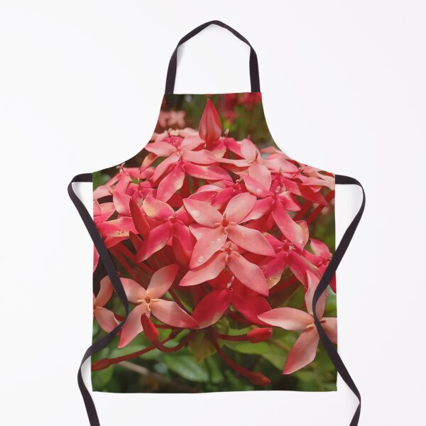 Item preview, Ixora coccinea designed and sold by André Ramos Ielo.