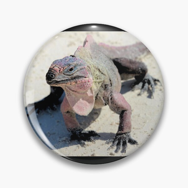 Item preview, Bahama Rock Iguana designed and sold by croper.