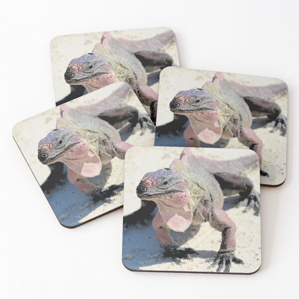 Item preview, Bahama Rock Iguana designed and sold by croper.