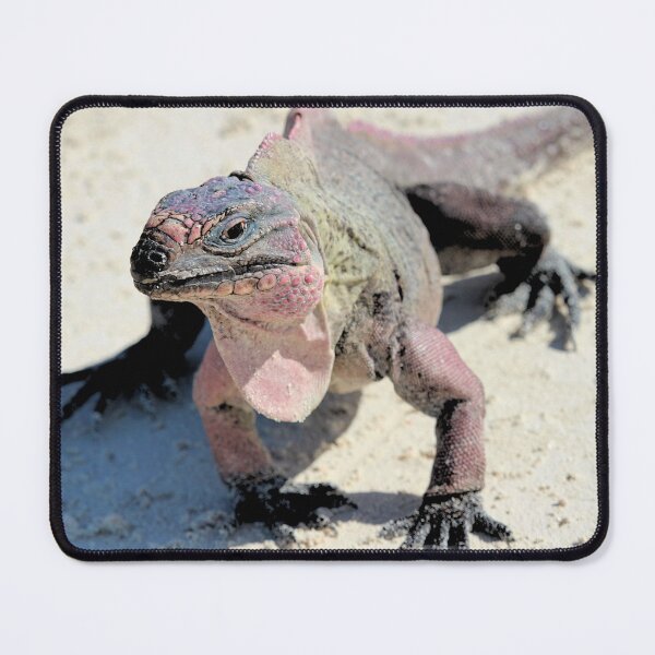 Item preview, Bahama Rock Iguana designed and sold by croper.