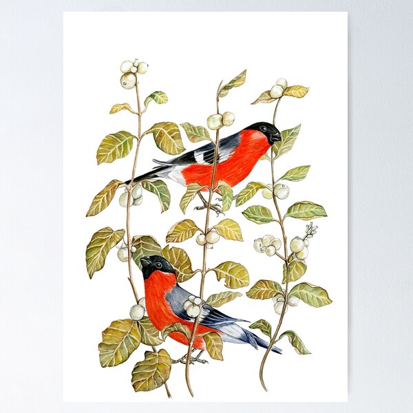 Item preview, Bullfinch and snowberry designed and sold by peaceofwork.