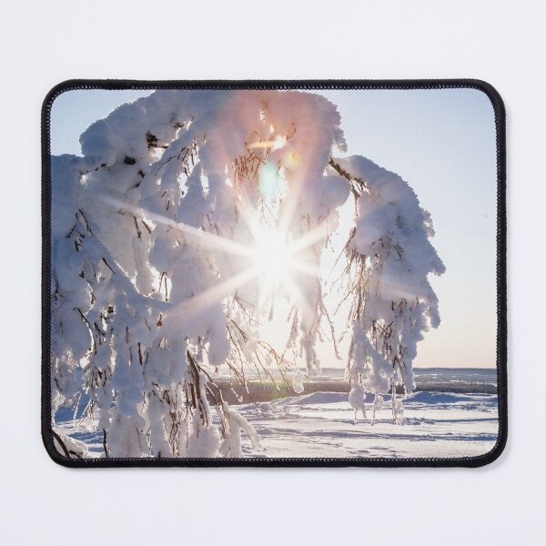 Item preview, Winter Sun Shining Through Snowy Tree designed and sold by katifinell.