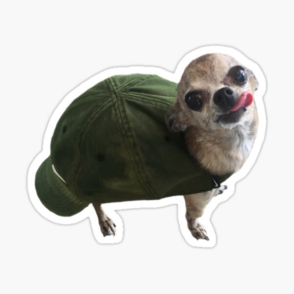 Turtle Doggo Sticker