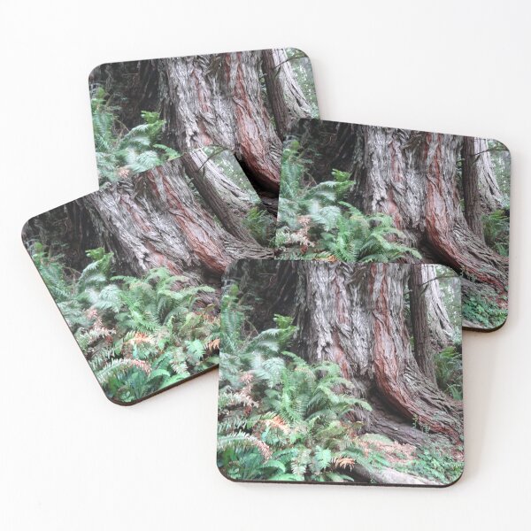 Item preview, Giant Redwoods Rainforest 06 designed and sold by MoodyMuseArt.